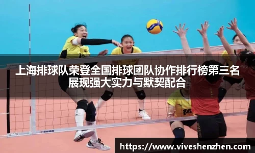 上海排球队荣登全国排球团队协作排行榜第三名展现强大实力与默契配合