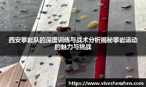 威九国际官网
